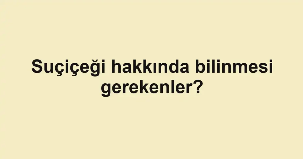 haber-gorseli-1790599024647
